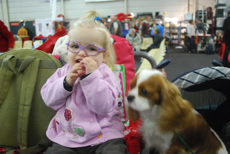 EN EXPOSITION CANINE
